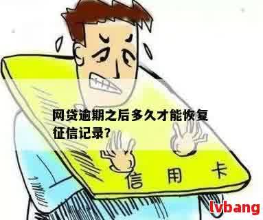 新网贷逾期不还，受损如何解决？