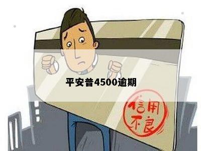 平安普逾期45天