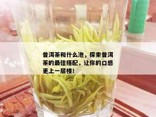 普洱茶为什么会有点甜味