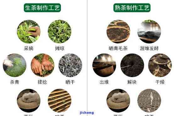 2014年普洱茶品质解析：从原料、制作工艺到口感全方位评价