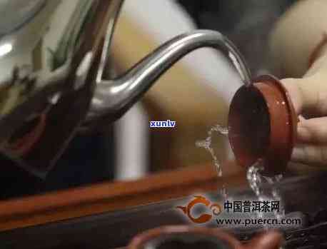 如何选择适合泡普洱茶的壶具以提升口感和香气？