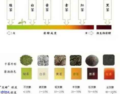 普洱茶的十种形状及其种类名称：探索普洱茶的多样性与特点