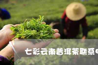 云南特色七彩普洱散茶：茶叶热销中