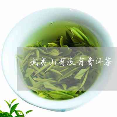 武夷山有普洱茶吗？现在武夷山产普洱茶吗？武夷山有茶叶吗？