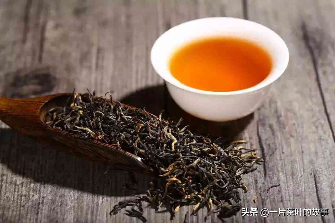 普洱茶生普：一种全面解析的茶类分类及相关特点