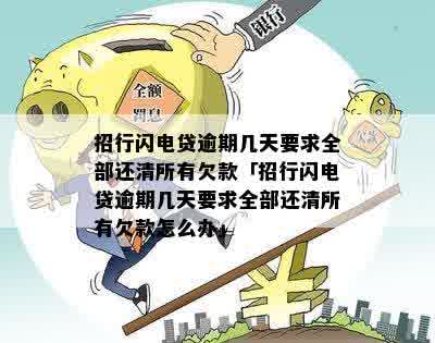 招行闪电贷逾期几天要求全部还清所有欠款怎么办