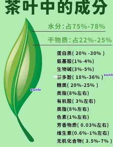 探究普洱茶中绿色成分：叶绿素物质的来源与作用