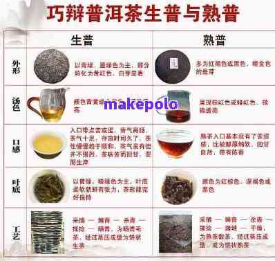 普洱茶新茶的种类及其特点：了解不同类型的新茶，品尝不同的口感和风味