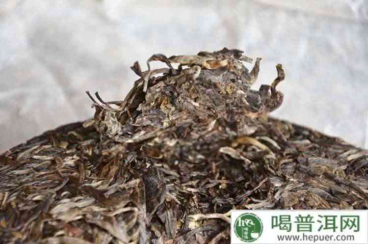 普洱茶的新茶是什么茶啊