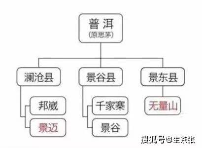 如何选择优质普洱茶：产区、工艺与口感的综合指南