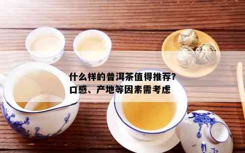 如何选择优质普洱茶：产区、工艺与口感的综合指南