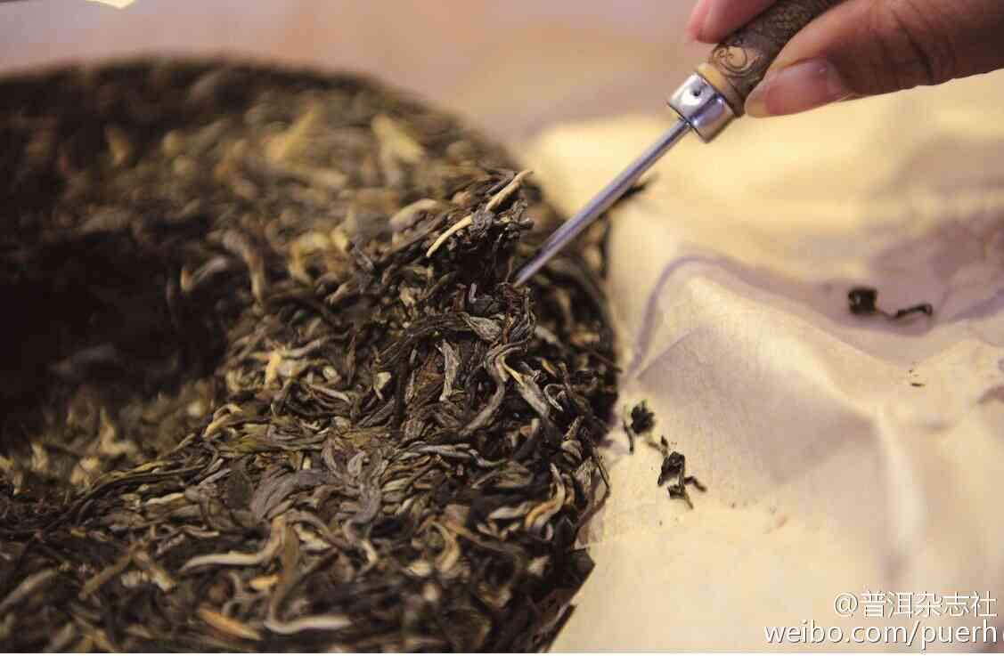 如何鉴别普洱茶是否发霉？掌握这五大要点，轻松分辨茶叶真伪