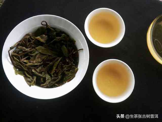 云南精选普洱茶：品质茶叶与性价比全解析，让你轻松挑选到心仪好茶！