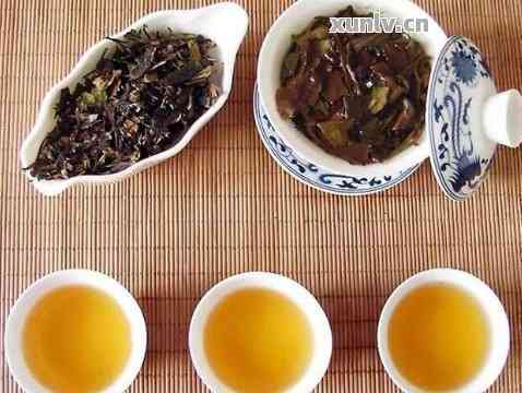 探究普洱茶：陈年老茶与新新茶口感对比，哪个更胜一筹？