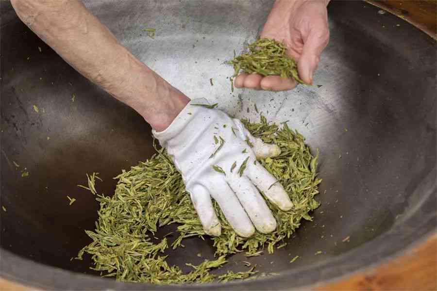 普洱茶陈茶新茶还是老茶