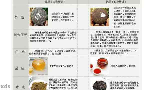 全面指南：如何挑选、品鉴和欣普洱茶，解答您关于普洱茶的所有疑问