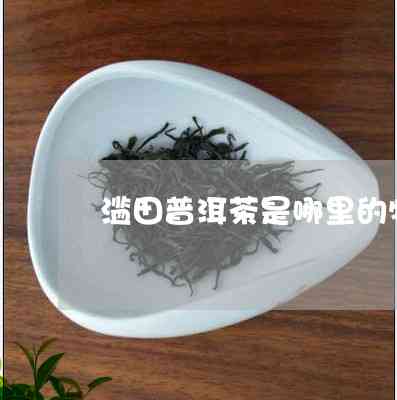 雨田普洱茶推荐是什么