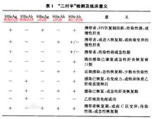 普洱茶901批号详解：区别、意义与年份对照表