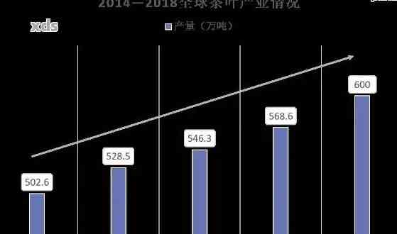 普洱茶未来发展之路：趋势与前景