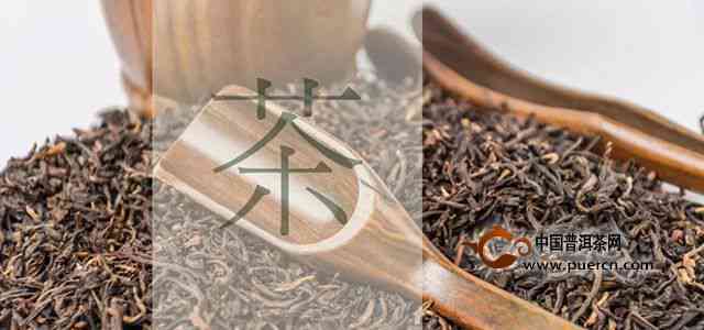 普洱茶：存放的艺术与科学，让你的茶叶长久保持风味