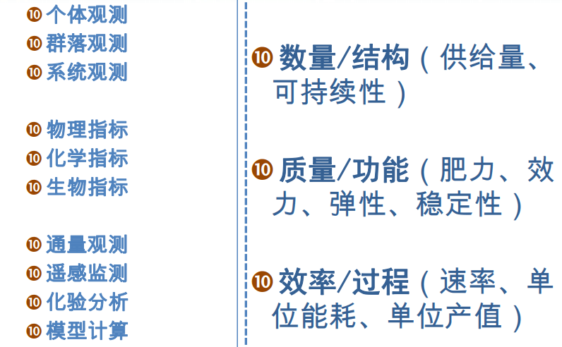 陈年普洱茶鉴别与评估指南：关键要素和实用步骤