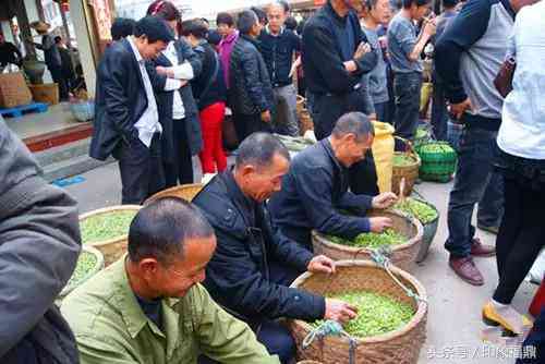 全面掌握陈年普洱茶验茶准则，了解如何判断一款好茶的关键条件