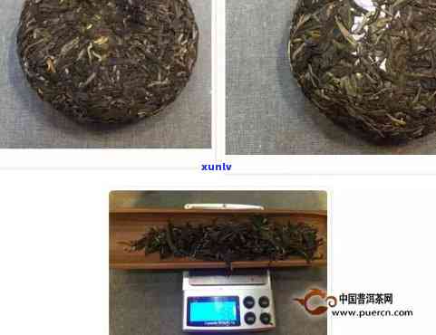 大勐龙普洱茶与千羽雀茶的区别：两种茶的独特之处