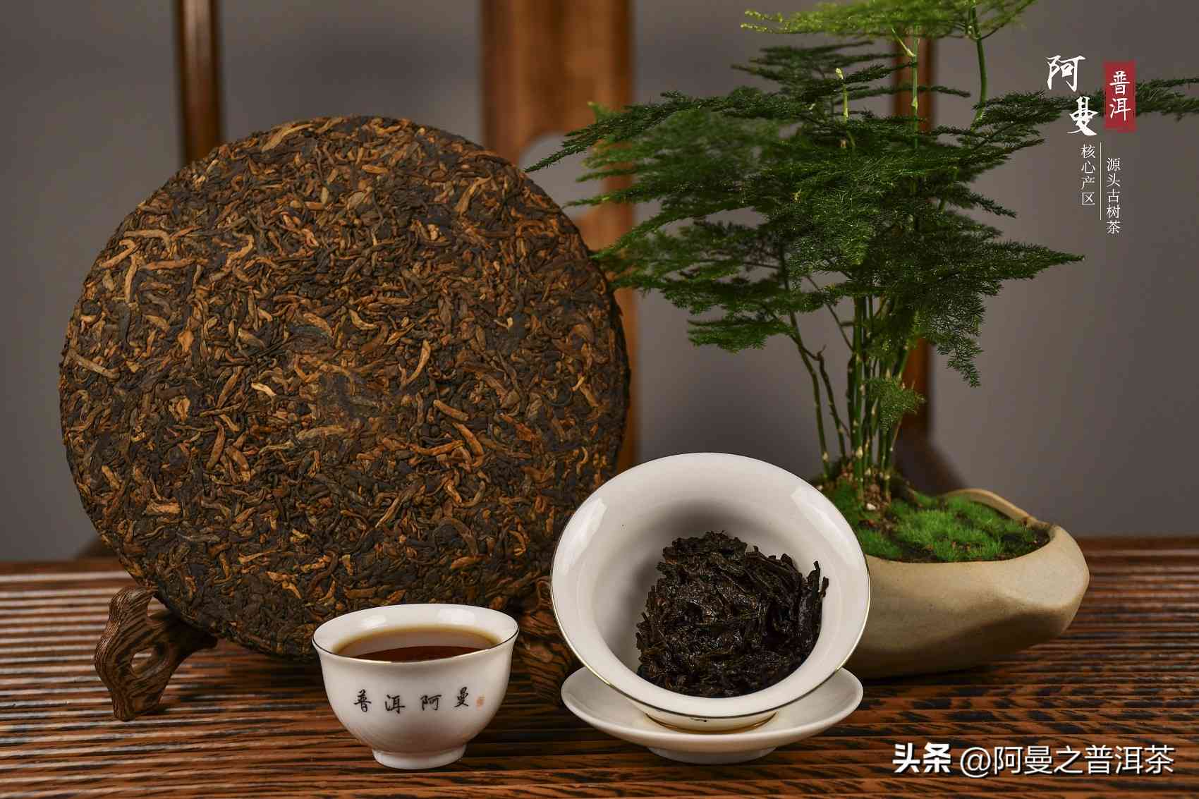 所有的普洱茶都是熟茶吗？为什么有的是生茶？