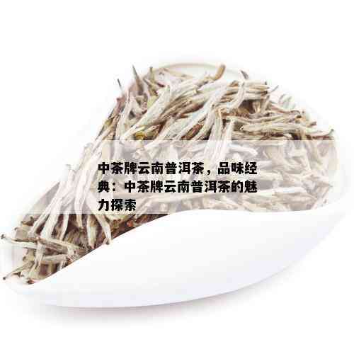 中茶普洱茶：品味经典，探索深度与解析