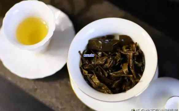 中茶普洱茶：品味经典，探索深度与解析