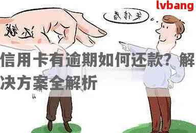 广发信用卡逾期解决方案：如何处理、影响与预防