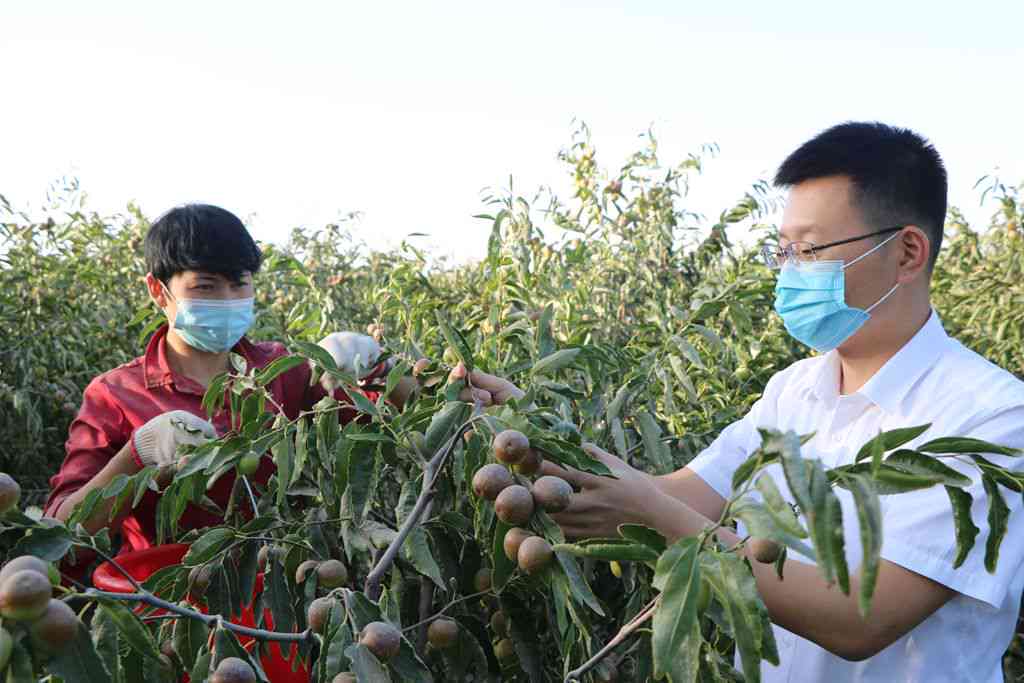 探索国内和田玉场：全方位指南助您轻松找到更佳采购地点