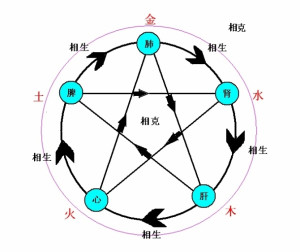 普洱茶：五行相生相克的完美解析与行业地位探讨