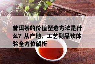 深入解析：普洱茶的独特魅力与品饮技巧