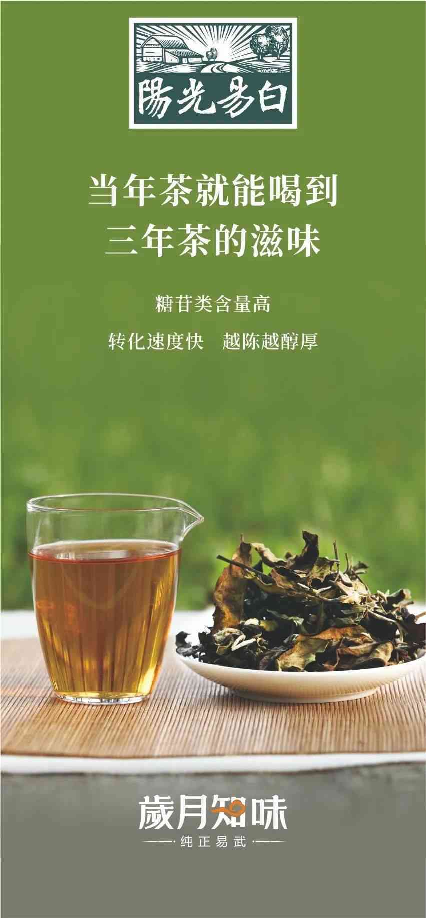 云南普洱茶与白茶的区别：哪个更适合制作白茶？