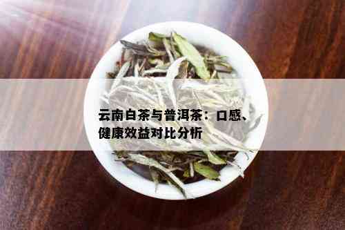 云南普洱茶制作的白茶特色：口感、古树茶与普洱茶功效对比研究