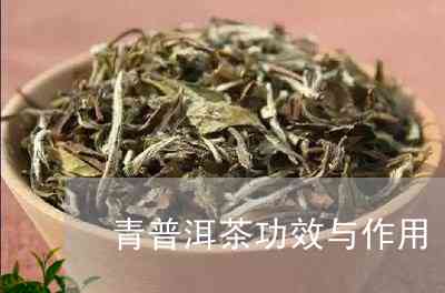 青茶普洱茶的功效和作用