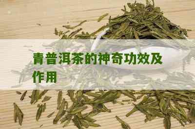 青茶普洱茶的功效和作用