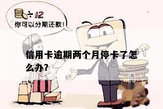 信用卡逾期两个月被停