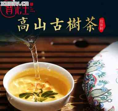 云南高贡山普洱茶古树茶2007-2008年价格及特色介绍