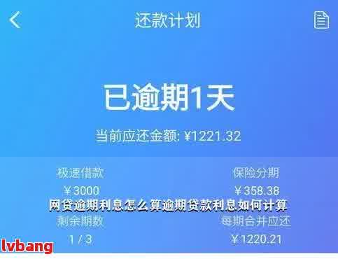 网商贷逾期15倍2万的利息计算方式及逾期一天所产生的费用解析