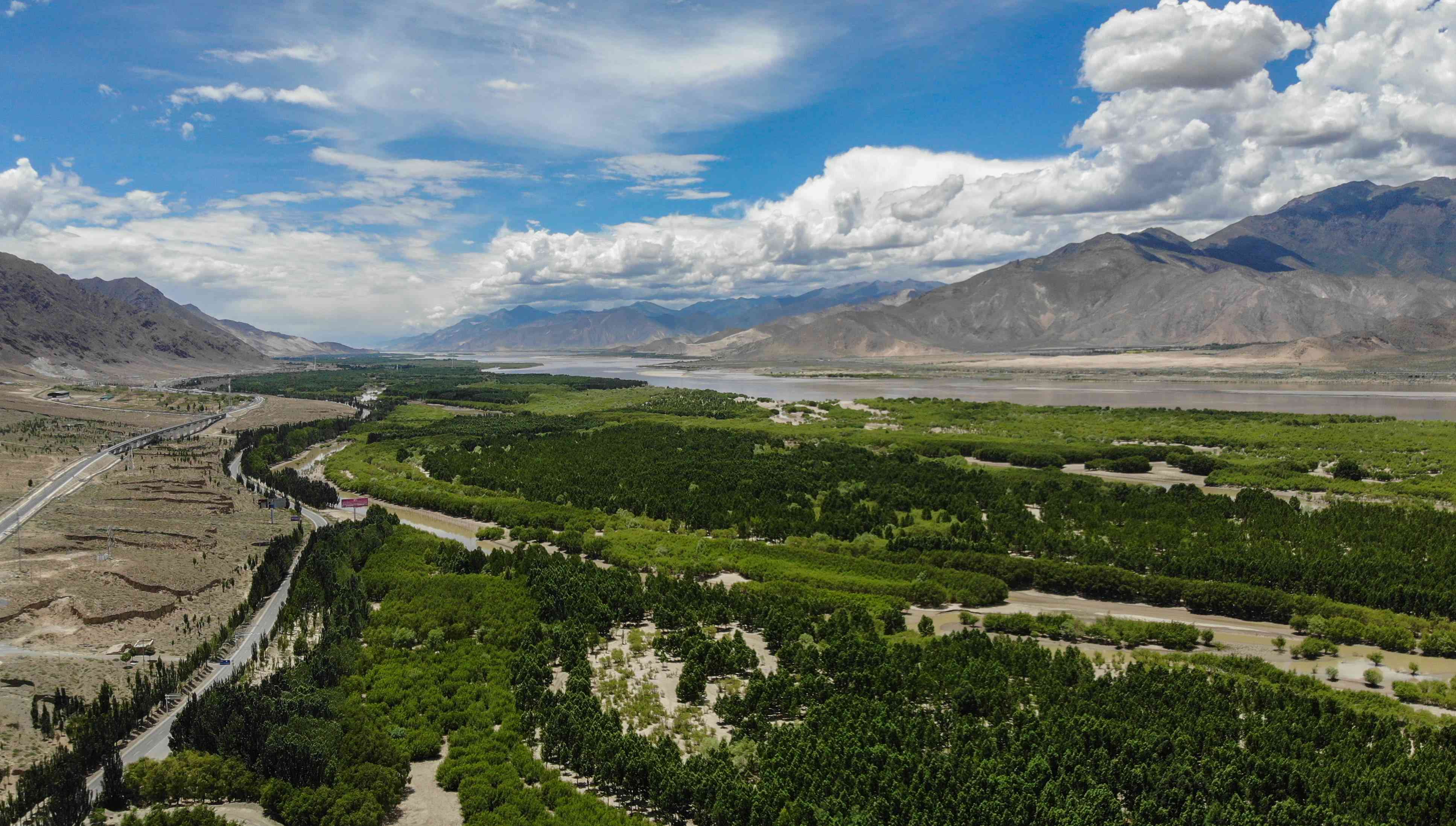 普洱茶六大名山与新六大名山全面解析，助您深入了解普洱茶的产地与品质