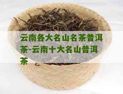 六大名山普洱茶排名前十