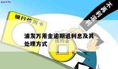 应对浦发万用金信用卡逾期：处理方法和还款策略