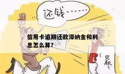 逾期一天未还款的信用卡将产生多少滞纳金和利息费用？