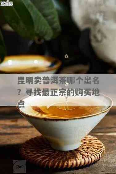 昆明哪里买普洱茶实好喝？