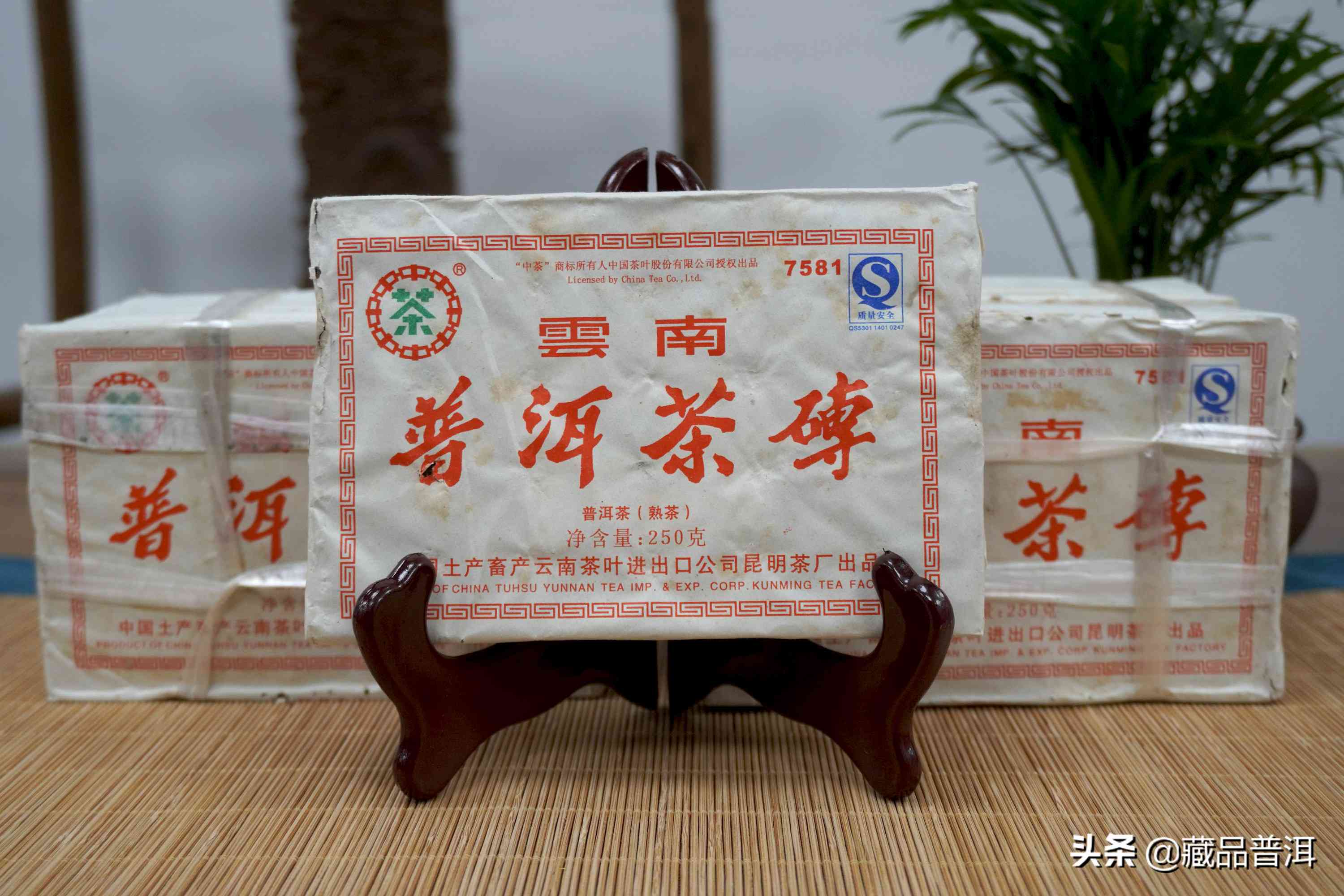 最香的口粮茶普洱茶有哪些