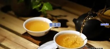 洗普洱茶浸泡多长时间好