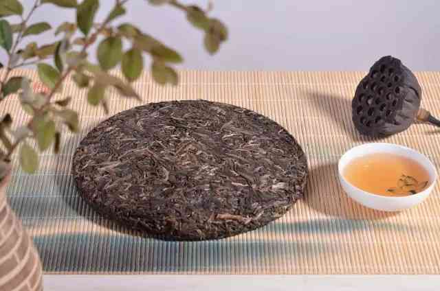 云南古树野生七子饼茶：阿里山下的独特风味