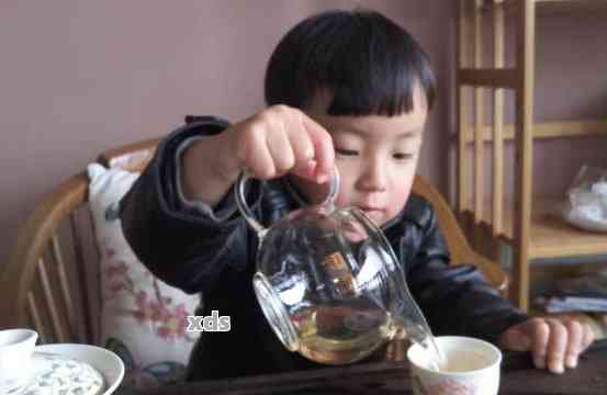 普洱茶对孩子的益处与潜在风险：孩子可以喝普洱茶吗？